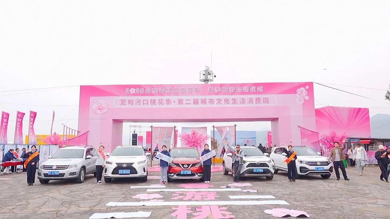 13图片1